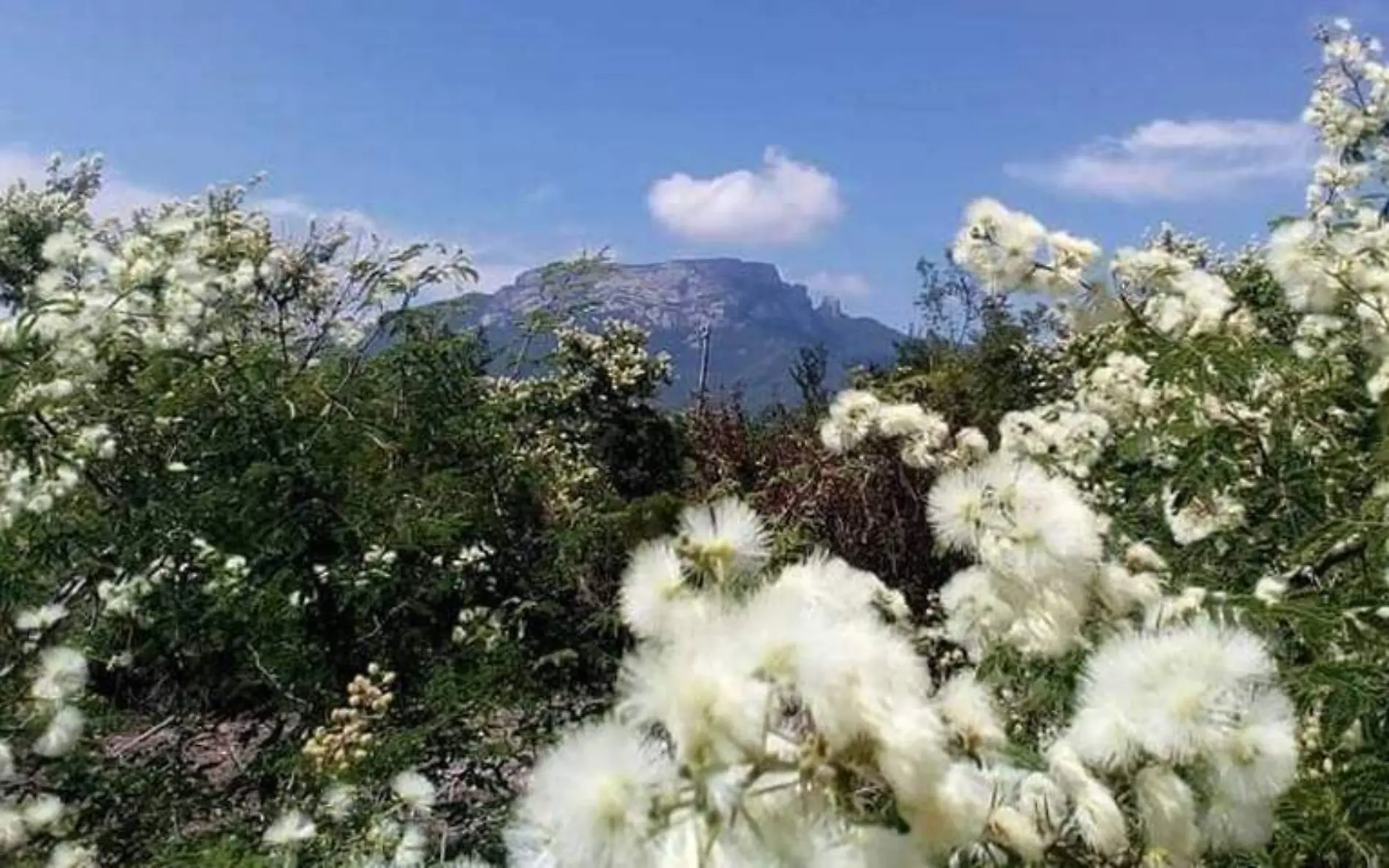 Cerro del Diente en San Carlos Tamaulipas, una opción más los ecoturistas